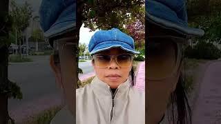 Amazing spring walks ‍️