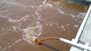 Waste Water Treatment Plant by WTE Infra Projects Pvt.Ltd.