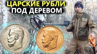 Царские рубли лежали в корне дерева! Пришлось вырубить лес. Коп поиск монет 2022