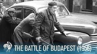 The Battle Of Budapest: Hungarian Revolution (1956) | British Pathé