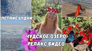 Чудское озеро Эстония.На воду и огонь можно смотреть вечно.Релакс видео.Летние будни.Семейные влоги