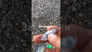 Заходим на прямой эфир #природа #рыбалка #красота #прямойэфир #стрим