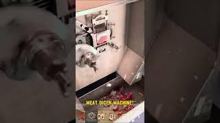 Meat Dicer Machine! Fast and Precise Cubing of Frozen Meat Blocks