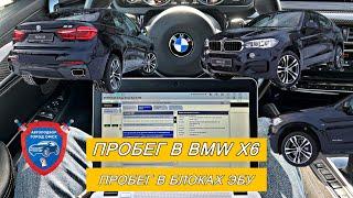 Автоподбор Омск | Подбор авто Омск | Проверка BMW X6