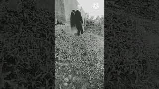 Bhoot  Ghost#short#viral#trending#bhoot #tiktok