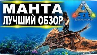 Манта (Manta) в АРК. Лучший обзор: приручение, разведение и способности  в ark.