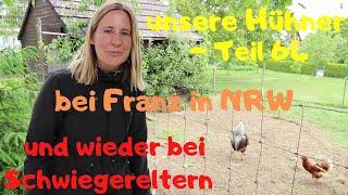 unsere Hühner Teil 64: zu Gast bei Franz und Schwiegerellis mit brünstigem Hahn in NRW