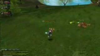 silkroad videos