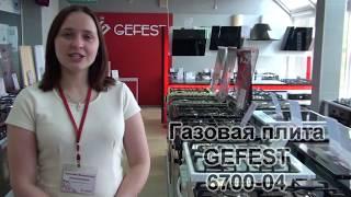 Газовая плита GEFEST 6700-04