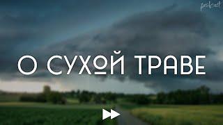 podcast | О сухой траве (2023) - #рекомендую смотреть, онлайн обзор фильма