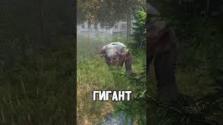 Самые сильнейшие Мутанты в #dayz #stalkerrp