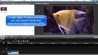 Camtasia Studio 8, How to Export Frame and Save as Picture/Image JPG