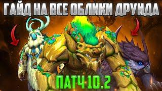 ГАЙД ВСЕ ОБЛИКИ НА ДРУИДА ПАТЧ 10.2 НОВОСТИ WOW 10.2  WORLD OF WARCRAFT DRAGONFLIGH