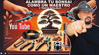 Alambra tu bonsái como un maestro - 5 trucos infalibles