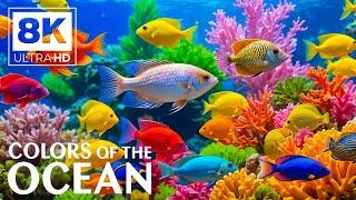 Oceanic Wonders 8K - A Journey Beneath the Deep Sea - Relaxation & Calming Music