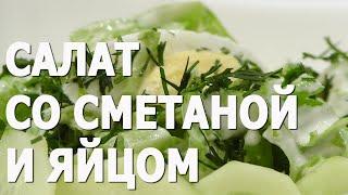 Cалат со сметаной и яйцом видео рецепт. Книга о вкусной и здоровой пище.