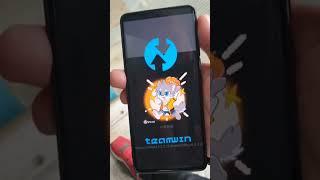 Ребята не понимают что такое TWRP)))