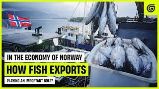 How fish export playing an important role in Norway's economy? | Norway Fish Industry