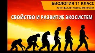 Свойство и развитие экосистем