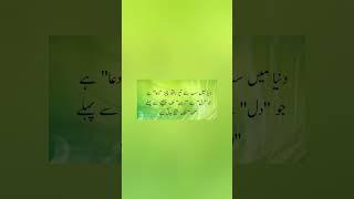 Power of Prayer | Golden Words in Urdu | Best Urdu Islamic Quotes | Wise Words | Wisdom Quotes