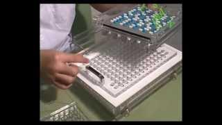 Semi-automatic capsule fillers,capsule machines,encapsulation machine for empty gelatin capsules.mp4