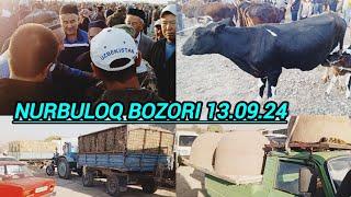 SAMARQAND V NUROBOD TUMANI NURBULOQ CHORVA DEHQON BOZORIDAN NARXLAR 13.09.24 ELYOR UZ  901998090