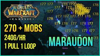 270+ Mob MARAUDON Pull in 12.5 Mins | 240+ G/HR and 25k-35k XP/RUN | WoW Classic