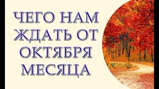 Чего нам ждать от октября месяца  Коммунальные, вирус, карантин, выборы