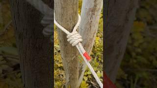 Brilliant Knots  / Tie Rope knot #climbing