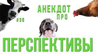 #36 Анекдот про ПЕРСПЕКТИВЫ | ЛУЧШИЕ АНЕКДОТЫ | Короче, Анекдот!