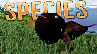 Species - Evolving A Worm Species - Species: Artificial Life, Real Evolution Gameplay