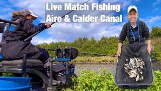 Live Match Fishing - Aire and Calder Canal - Goole