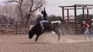 Wiley Petersen's SE Idaho Bull Riding Clinic - Day 1