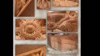 Ruben Abrahamyan:  L'arbri de roches abandonnés pour dispositif électronique (2007)