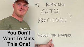 Making a Profit on a Small Farm or Homestead with Cattle. (Financial Plan Explained)