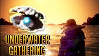 Newbie Underwater Gathering | Daily Dose of BDO #29