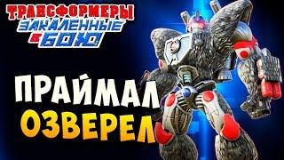 ПРАЙМАЛ ОЗВЕРЕЛ! В КОНЕЦ!!! Трансформеры Закаленные в Бою Transformers Forged To Fight ч.249