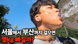 '다이어트'를 위한 여행