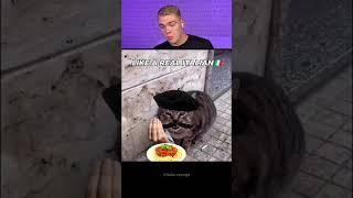 Try Not To Laugh  637 #funny  #viralvideo #shorts
