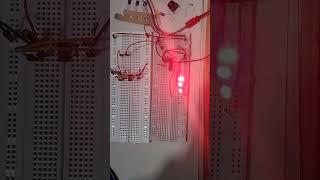 Binary Count Experiment IC 7493 and 555 Timer IC for clock pulses #electronics #digitalelectronics