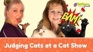 Judge Vicki Nye Reveals Winning Cat Show Secrets