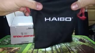 Rapala или Haibo? Ультралайтовая катушка Haibo Snow Leopard 800.