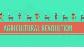 The Agricultural Revolution: Crash Course World History #1