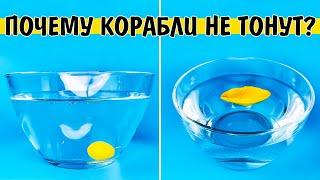 Почему корабль не тонет в воде? Опыт с плотностью "Корабль из пластилина"