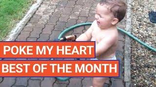 Poke My Heart | Best Of The Month