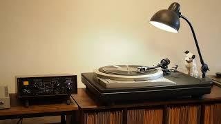 Moonlight and You / Coon-Sanders Original Night-Hawk Orchestra