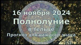 Полнолуние неожиданностей 16 ноября 2024 каким будет для каждого знака