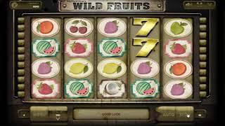 Wild Fruits Slot Video Review by NewCasinos.org