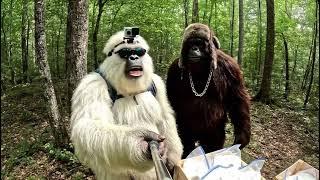 yeti and bigfoot try nose candy