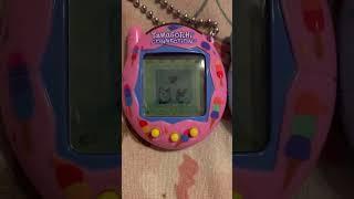 tamagotchi connection v3 marriage